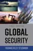Книга Global Security