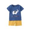 Kids Short Sleeve T-shirt + Shorts Set Summer