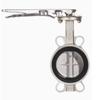 PFFLCN 304 Stainless Steel PTFE Butterfly Valve