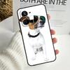 Dog Jack Russell Terrier For Realme 12 Pro Plus 11 10 9 C67 C55 C53 C35 C33 C30 C25s C21Y C15 GT3 GT5 GT Neo 5 Case
