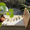 Wooden Miniature Fairy Garden Decor DIY Decorative Accessory Micro Landscape Decoration