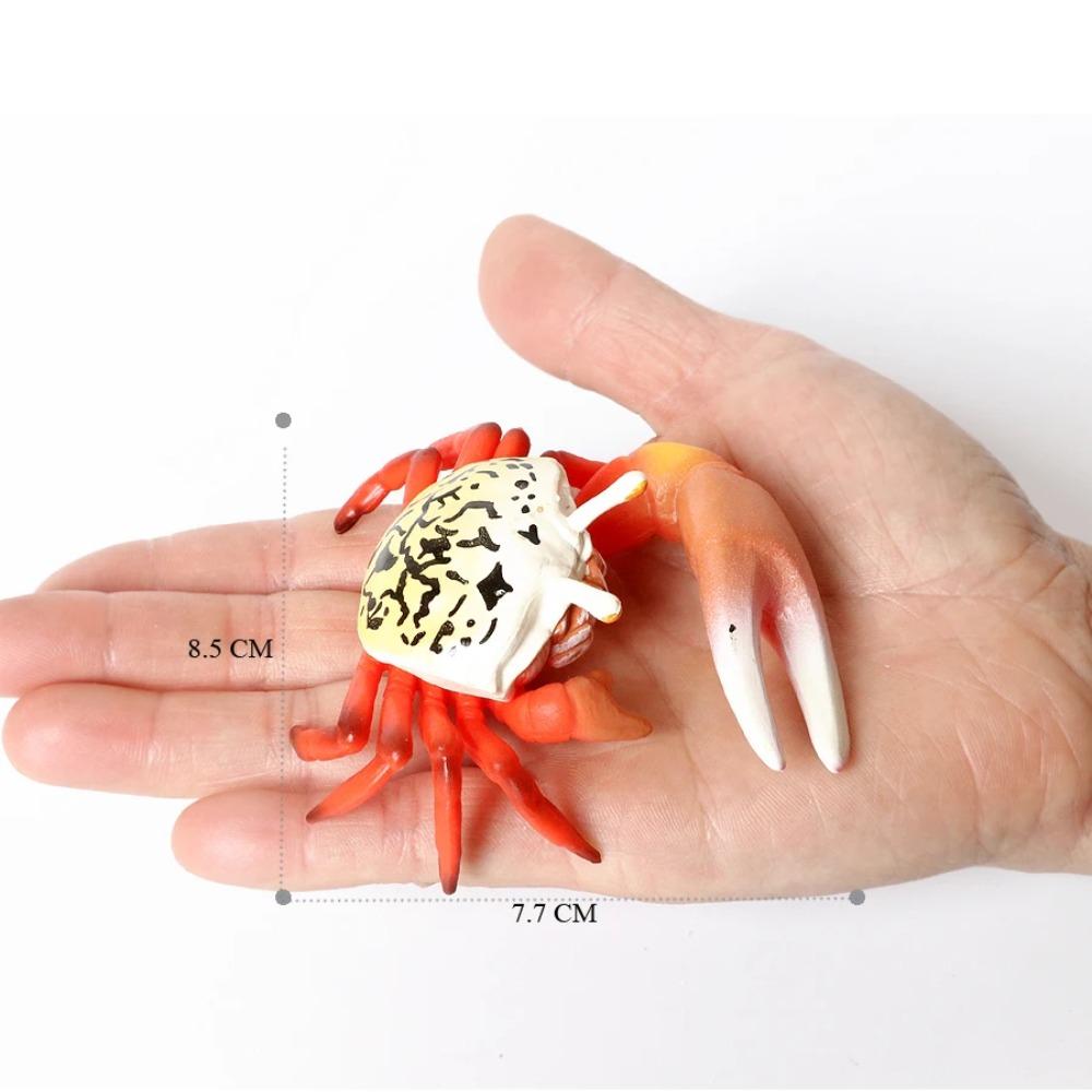 Realistic Prehistoric Sea Creatures Animal Figurines Baculite,Opabinia,Crab,Mantis Shrimp Educational Marine Animal Mode Figures