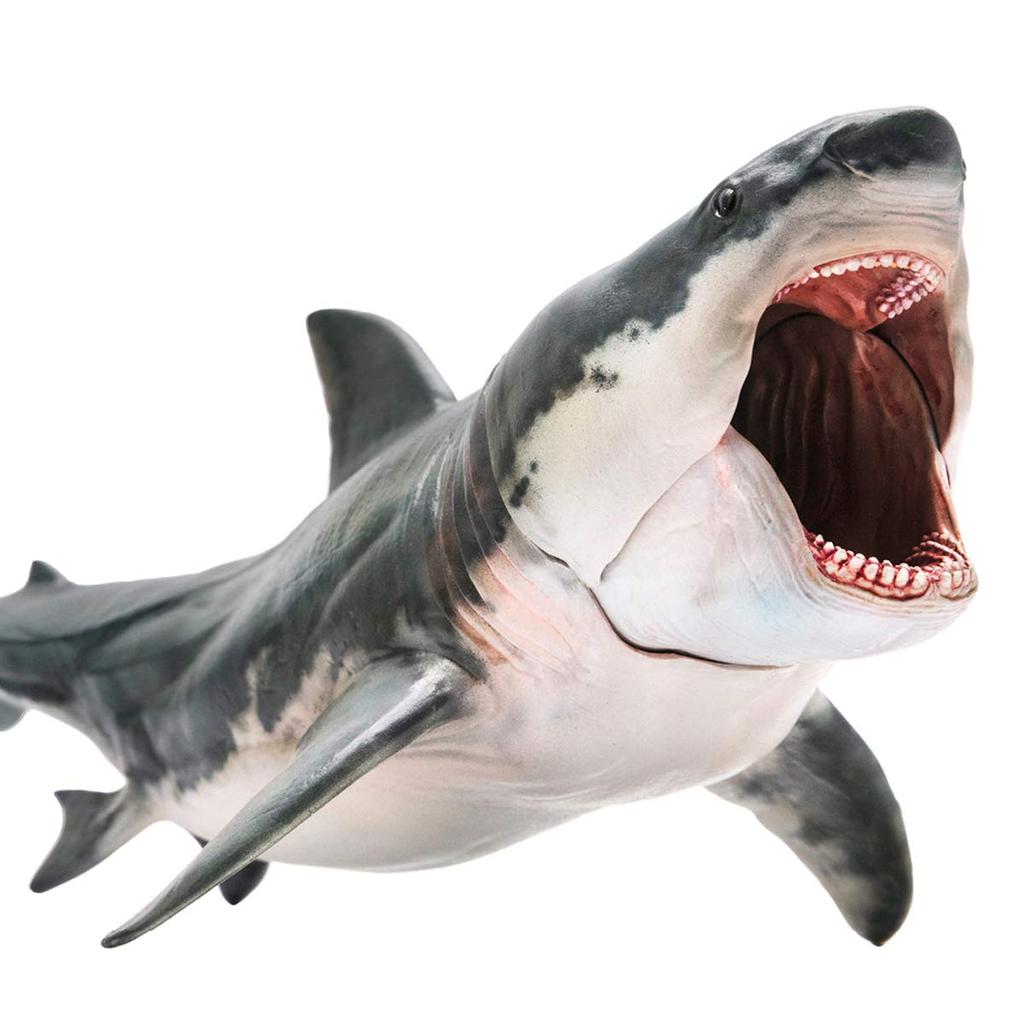 PNSO Megalodon Great White Shark Patton Shark Marine Animal Creature Fish Figure PVC Model Plastic Model Toy Premium Shark Lover Birthday Present