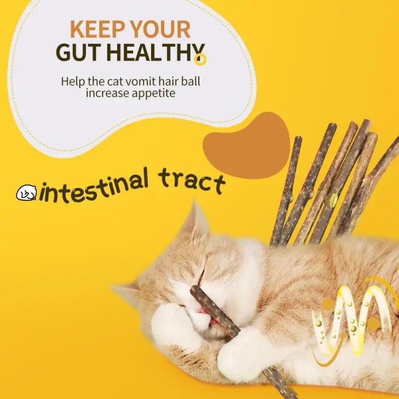 Improve Appetite Cat Toy Pet Supplies Toys Catnip Healthy Cat Snacks Sticks No Additives Cat Cleaning Teeth Clean Teeth Funny