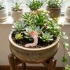 3PCS/SET Resin Earthworm Flowerpot Decoration Realistic Earthworm Ornaments  Succulent Plants