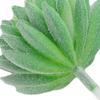Распродажа Искусственный Суккулентный Цветок - Цветочные Мини-Растения Листва Садовый Декор/Подарок