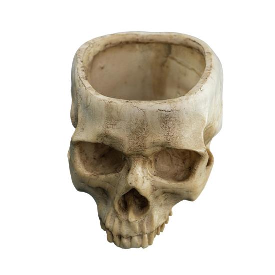 Юшенг Череп Цветочный горшок Подвесной Череп человека Кашпо Хэллоуин Конфетница Готический Плантатор для суккулентов Декор для дома и улицы