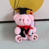 New Creative Doctoral Dress Doctor Bear Plush Toy Doll Pendant Bag Hanging Ornament Doll Doll Doll