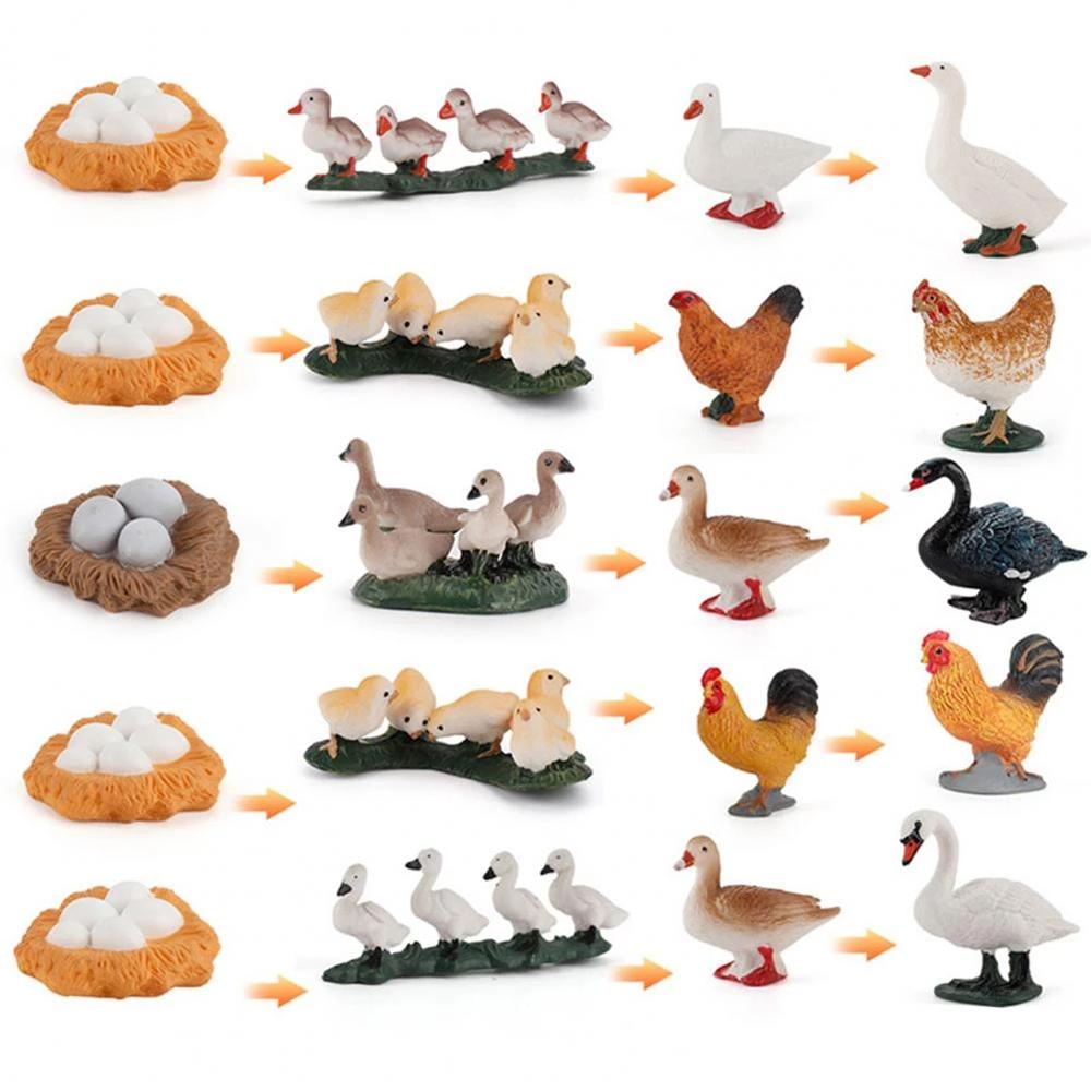 Hen Educational Toys Life Cycle Figures White Goose Cycle Duck Figurine Growth Cycle Simulation