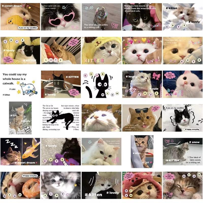 62pcs Sweet American Style Cat Scrapbook Journal Sticker Cute Cartoon Kitten Stationery Sticker DIY Decor Luggage Laptop Sticker
