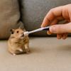 Wide Head Pet Toothbrush Long Handle Oral Cleaning Brush Soft Animal Toothbrush  Pet Care