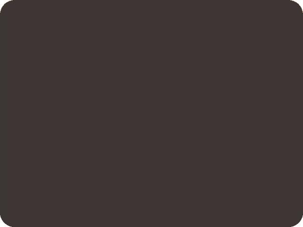 ACRYLIC SPRAY VARNISH RAL 8019 GREY BROWN GLOSSY 400ml