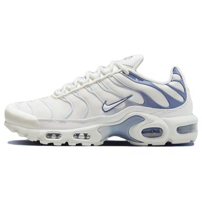 Женские кроссовки Air Max Plus Ashen Slate White Summit-White Light-Armory-Blue DZ3671-104