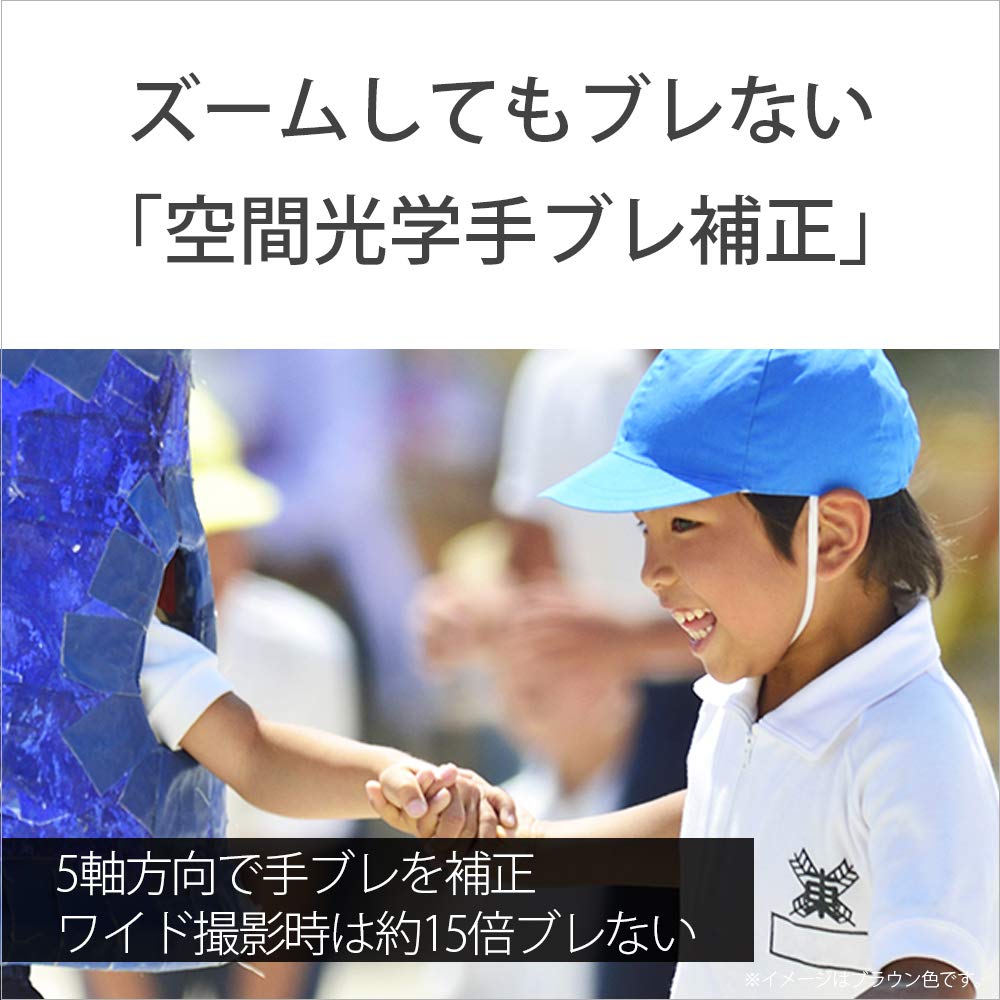 Sony Video Camera Handycam White Memory 64GB Optical Zoom 30x W HDR-CX680 Built-in HDR-CX680