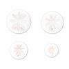 4Pcs Durable Daisy Flower Cake Decoration Cookie Mold Cake Cutter Fondant Mold Plunger Mould