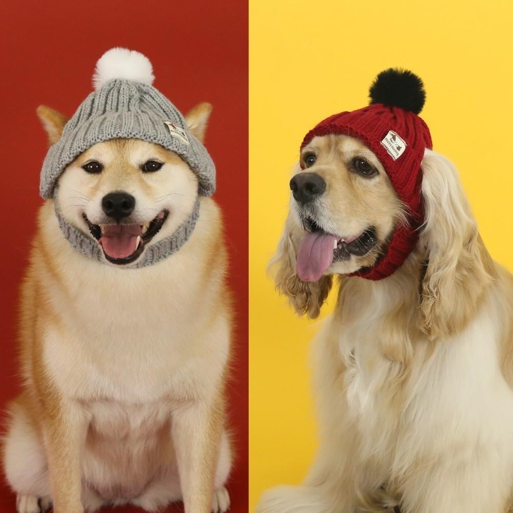 Warm Pet Cap Ear Exposed Pet Headwear Pet Accessory Pompon Pet Hat  Autumn and Winter