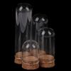 1/6 Doll Glass Dome Display Wood Cork Bell Jar With Wooden Base Decoation Craft