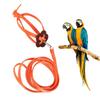 Adjustable Bird Harness Leash 120cm Length Bird Flying Harness Pet Bird Harness  Outdoor Flying