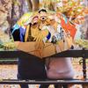 1 шт. Автоматический складной зонт - Узор Luffy D Портативный складной дизайн с 8 спицами Рождественские подарки на день рождения
