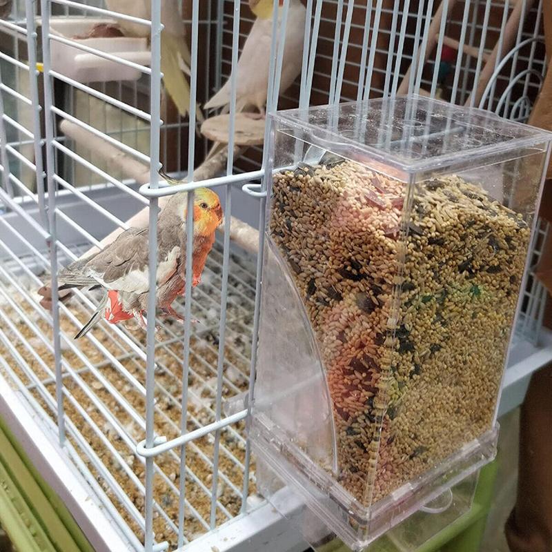 Автоматическая кормушка для птиц, чашка без миски, клетка, автоматическое кормление, канарейка, попугай, корелла