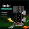 Parrotfish Turtle Floating Feeding Ring for Large Fish Tanks & Koi Aquariums