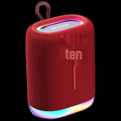 Портативная Bluetooth-колонка Newmine BT10, штекер CN (адаптер в комплекте)