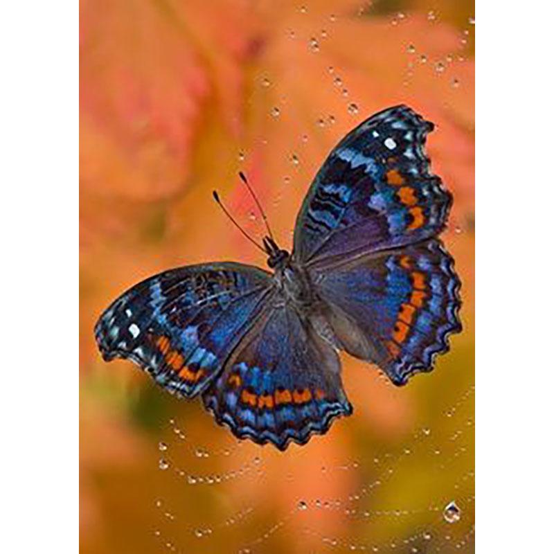 DIY Diamond Embroidery 5D Diamond Painting Butterfly Diamond Mosaic Cross Stitch Kits Rhinestones Wall Art Home Decor Gift