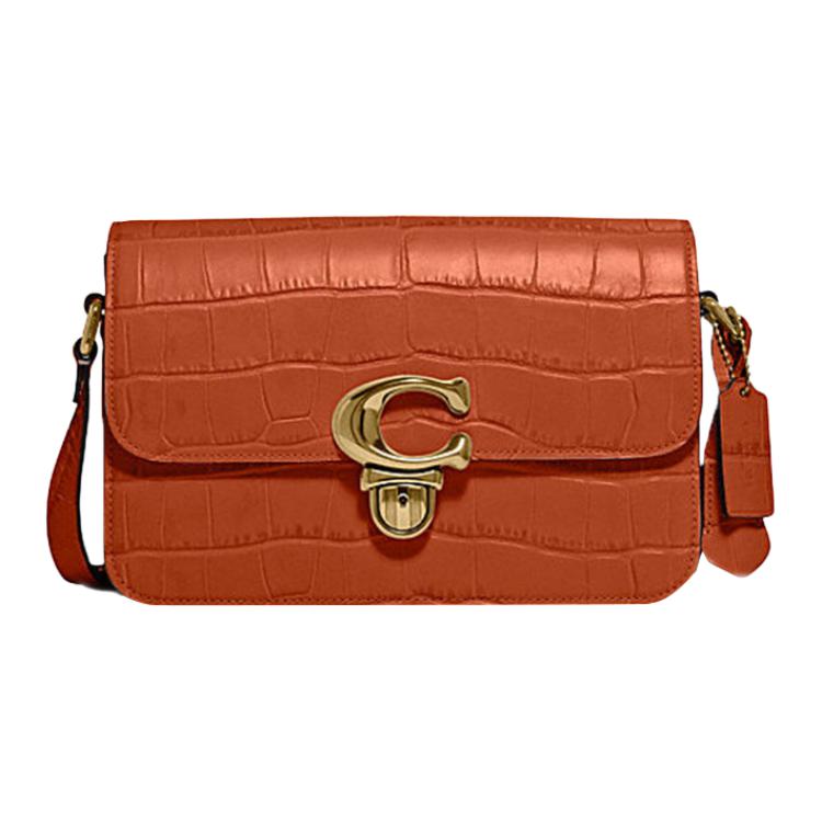 Coach Studio 25 Solid Color Minimalist C Buckle Flap Zipper Crocodile Embossed Leather Small Square Camera Crossbody Bag Medium Women bags C6640-B4GX