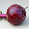 100 Red Beet Seeds
