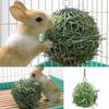 Sphere Feed Dispenser Hanging Ball Toy Guinea Pig Hamster Rat Rabbit Pet Supply LS