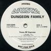 12-дюймовая пластинка DUNGEON FAMILY - Trans DF Express ARDP5046 Arista 2001 US Рэп и Хип-хоп/R&B Б/У