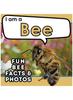 Книга I Am a Bee : A Children's Book with Fun and Educational Animal Facts with Real Photos!