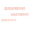 24 Pieces Wear Nail Short Fake Nail Summer Simple Five-color French Nail Piece Press On Nails