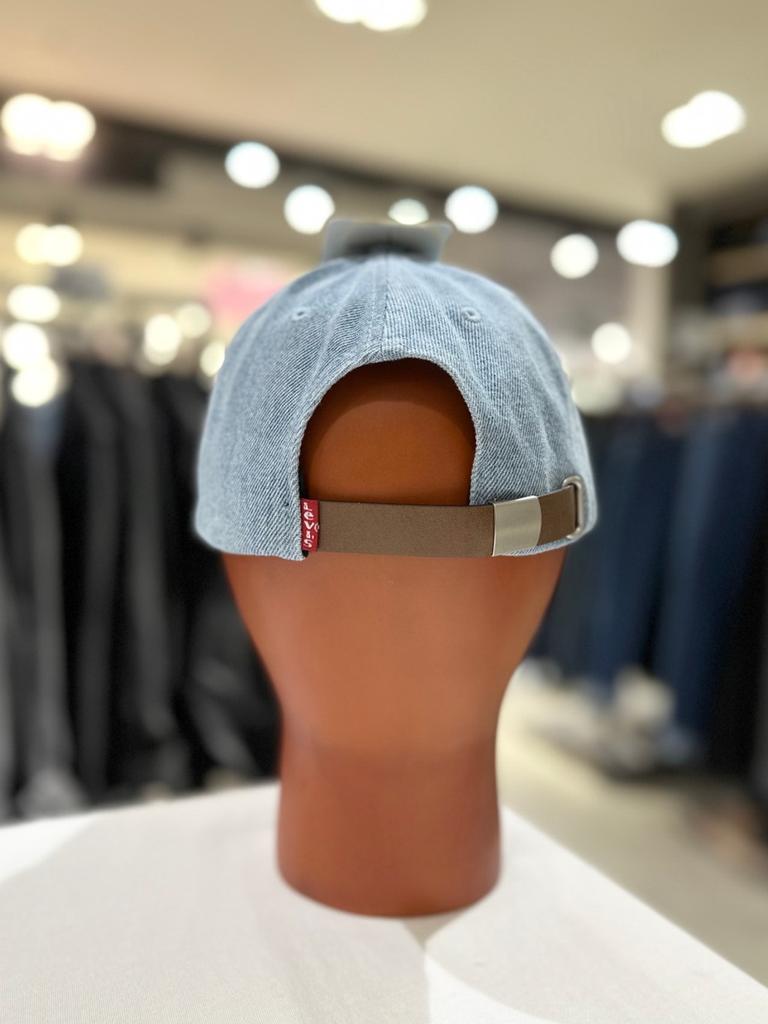 Simple Logo Denim Ball Cap (2 types) FREE SIZE (LD7589003)