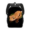 Backpack for Teenager Boys Girls Pet Reptile Lizard Daypack Children School Bags Kids Book Bag
