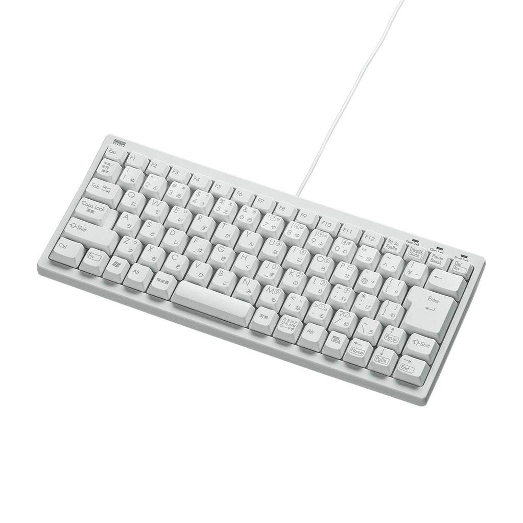 Sanwa Supply Wired Compact Keyboard (No Numeric Keypad), USB Connection, 86 Japanese Keys, Membrane, with USB To PS2 Adapter, White (SKB-KG3WN2)