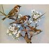 Полный 5D Diy Алмазная картина Три маленьких птички Алмазная вышивка Полный вышивка крестиком Домашний декор Подарок ручной работы