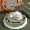 Fashionable Enclosed Cat Bed & Litter Box – Anti-Splash Design for Large Cats