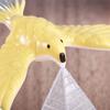 Keep Balance Balanced Eagle Bird Toys Desktop Ornaments Figure Decoration Magic Maintain Balance