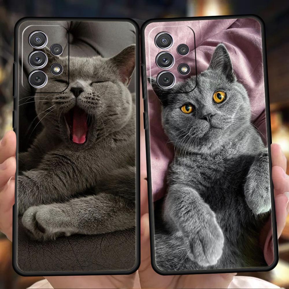 Чехол для британской короткошерстной кошки для Samsung A24 A12 A14 A32 A50 A70 A20E A20S A10 A10S A22 A30 A40 A34 A54 A42 A52 5G A04s A72