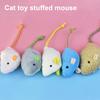 5 шт. плюшевая игрушка для кошек, интерактивная мягкая мышь, жевательная игрушка для кошек, чистка зубов, игрушка для мышей для домашних кошек