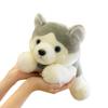 New Erha Dog Plush Toy Doll Throw Pillow Husky Doll Rag Doll