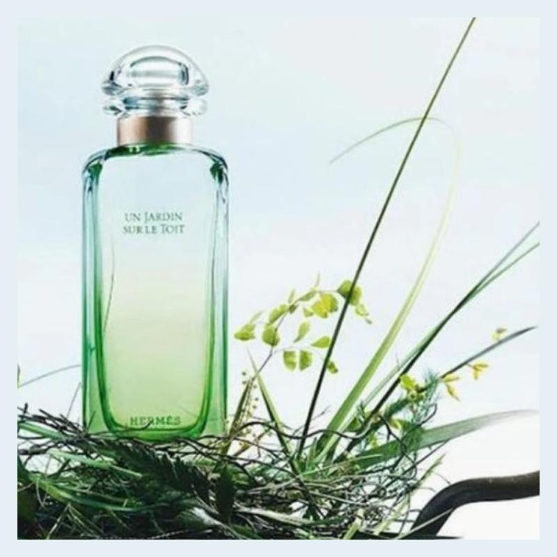 Hermes Nile Garden Perfume Floral and Fruity Eau de Toilette EDT Grapefruit Iris Cinnamon 70202 70202-100ml