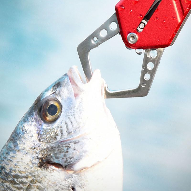 Устойчивый к ржавчине нержавеющий стальной захват для рыбы, Легкий алюминиевый сплав, Флуоресцентный, Веревка для предотвращения падения, Карабин, Захват для рыбы, Ловец для рыбы,