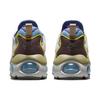 Nike Мужские кроссовки Air Max TW SE Phantom Multi-Color  FJ7071-070