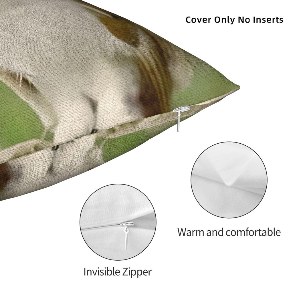 Декоративная наволочка Мяу Кошка Сова Мем Аксессуары Кровать Наволочка Чехол На молнии Разных размеров