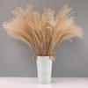 Natural Dried Grass, Flower Arrangements Room Decor Flower Bunch for Festival Living Room Table Decoration Centerpiece