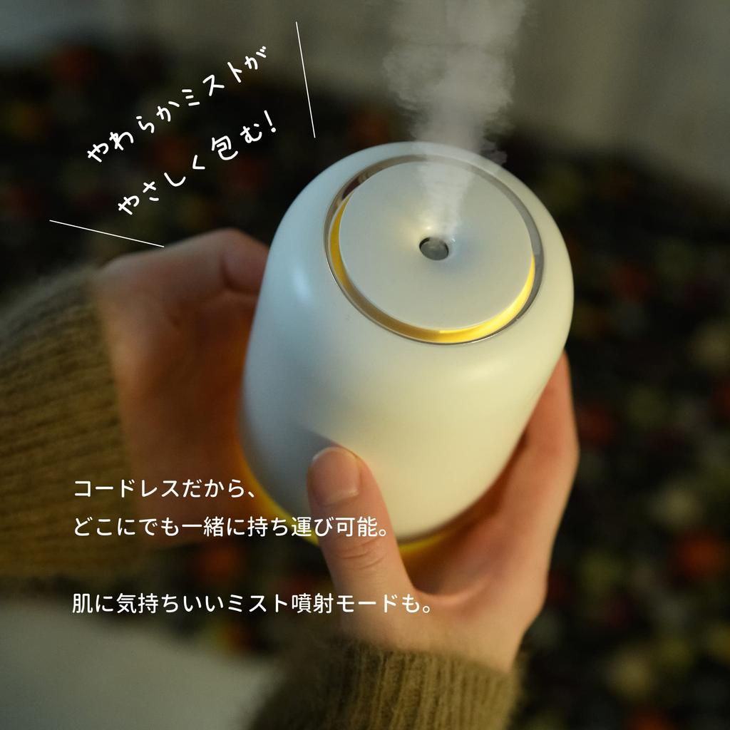 Портативный увлажнитель воздуха Белый Телеработа Легкий Простой Увлажнитель Бутылка Овальный Ультразвуковой Тип Настольный USB Перезаряжаемый Портативный Овальный Теплый Цвет