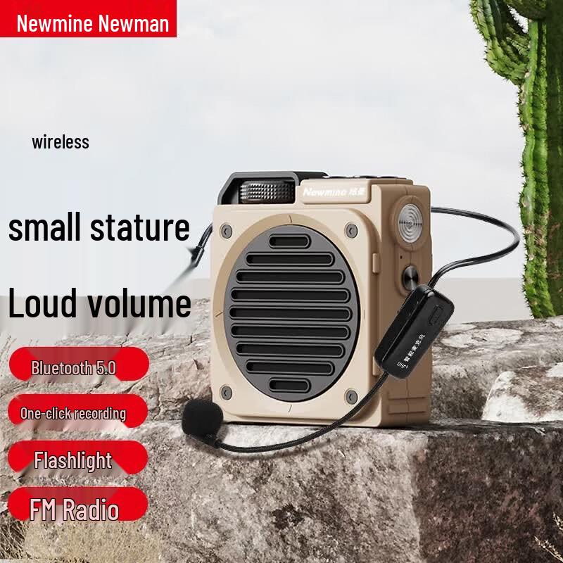 Портативный Bluetooth-усилитель голоса Newmine с защитой от свиста (Китайская версия)
