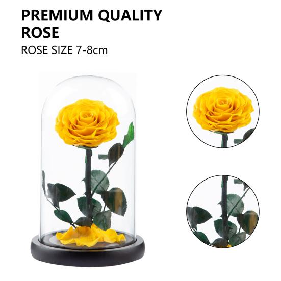 Нежная вечная роза в стеклянном куполе, романтическая невыцветающая одежда для взрослых, создающая атмосферу